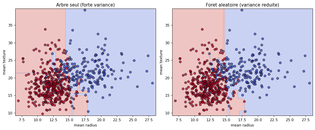 Forêt aléatoire : la frontière de décision, escalier d'un arbre seul vs lissage par l'ensemble (réduction de variance géométrique, jeu de cancer du sein mean radius × mean texture).