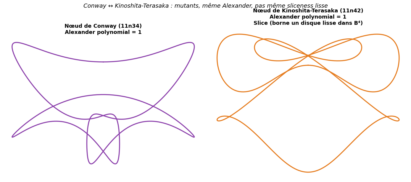 Nœuds mutants de Conway (11n34) et Kinoshita-Terasaka (11n42) : même polynôme d'Alexander (= 1), sliceness lisse différente.